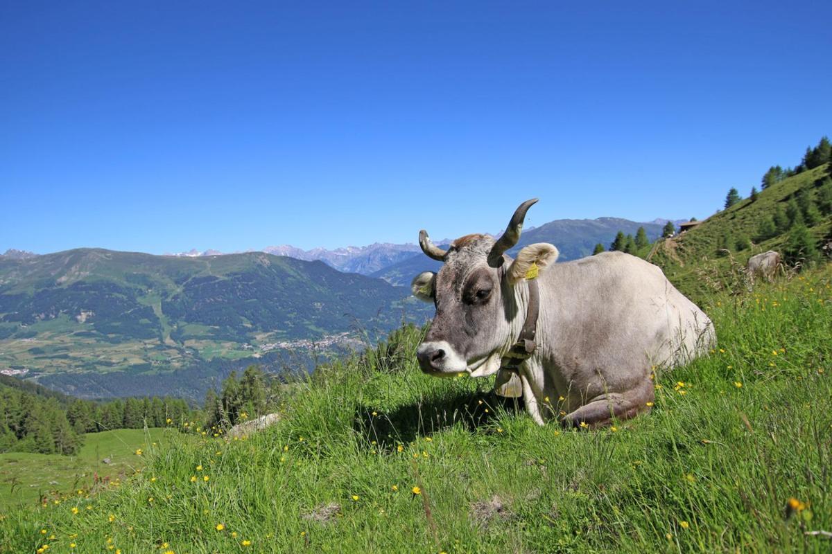 Pension Fuchs Pfunds Buitenkant foto