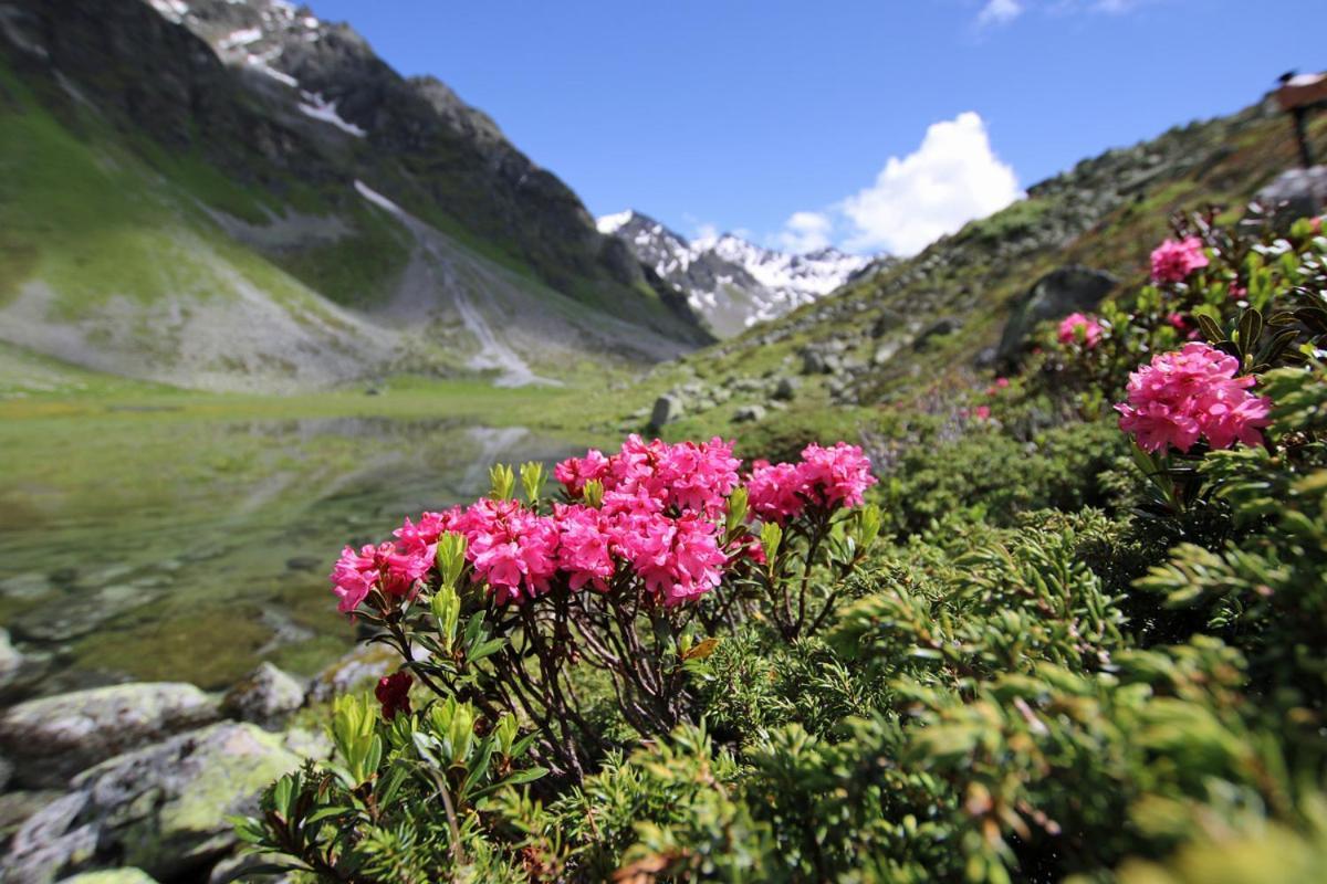 Pension Fuchs Pfunds Buitenkant foto