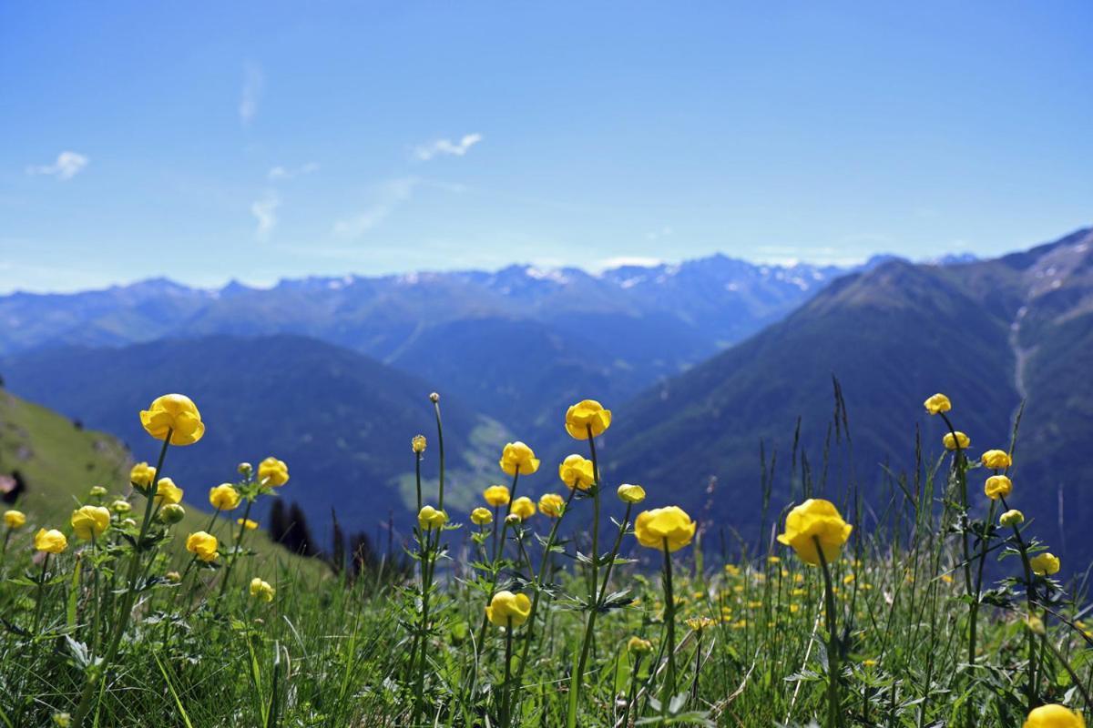 Pension Fuchs Pfunds Buitenkant foto
