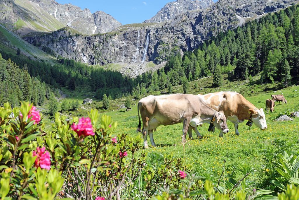 Pension Fuchs Pfunds Buitenkant foto